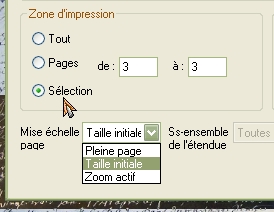 selection_zone_a_imprimer_sur_zoom